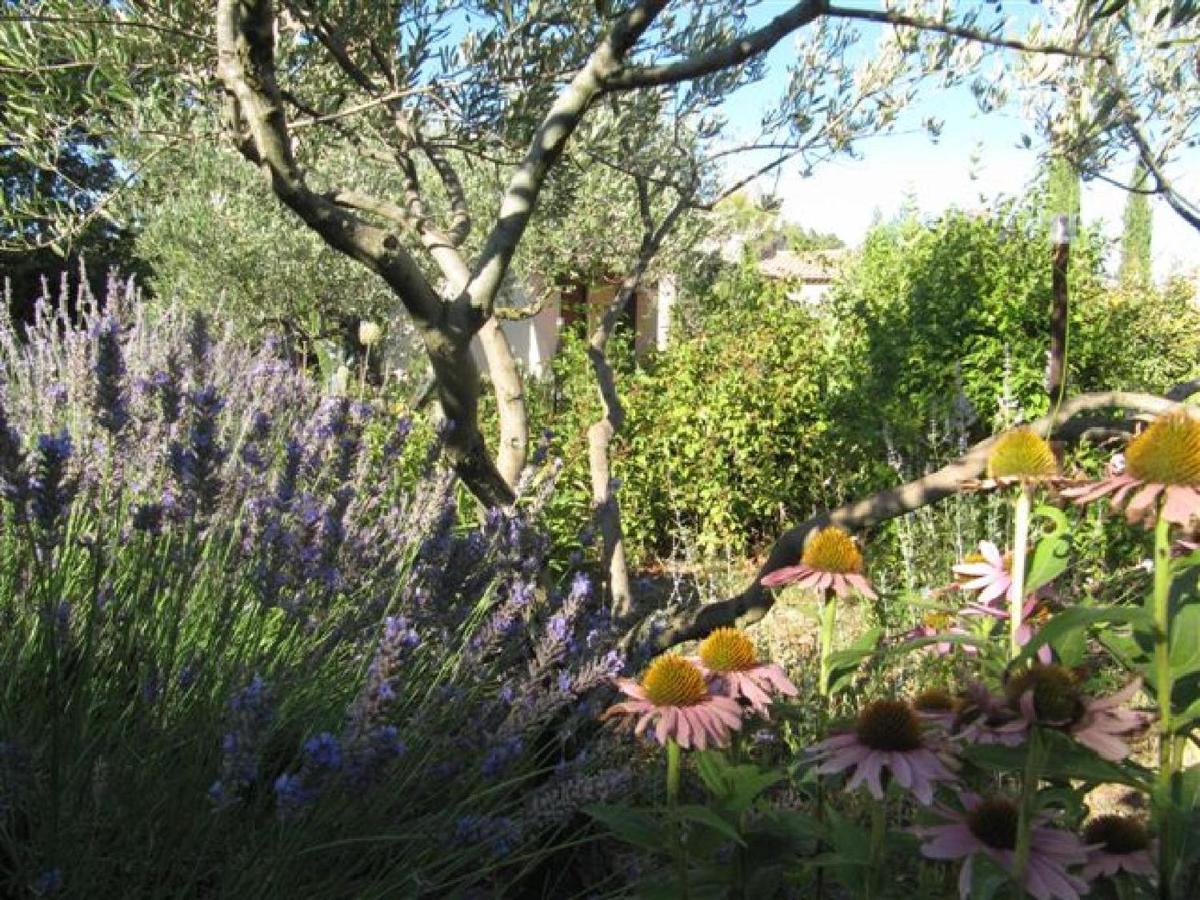 Apiflore Garéoult Rom bilde