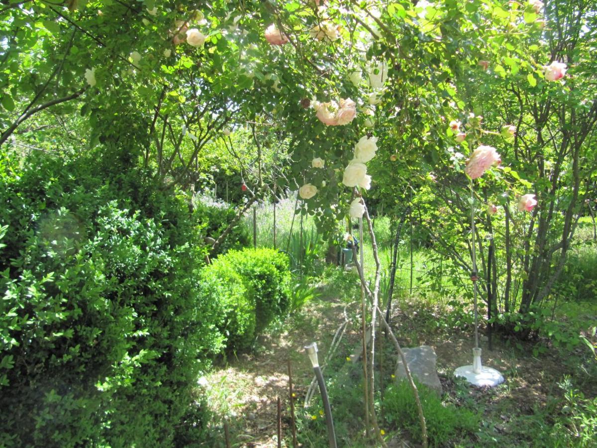 Apiflore Garéoult Rom bilde