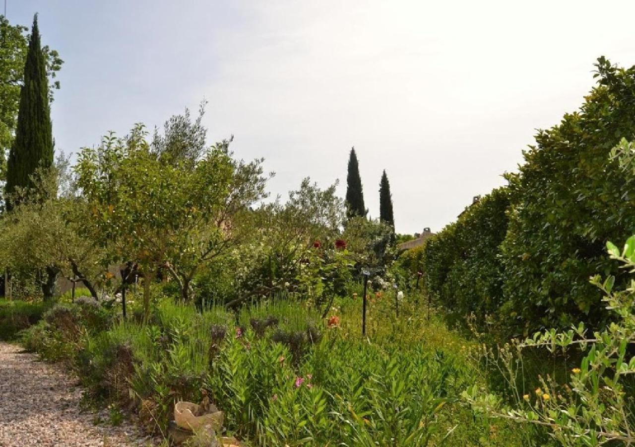 Apiflore Garéoult Rom bilde